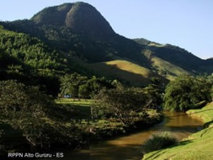 altoGuiru